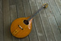 Mandocello by John Stump