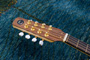 Herb Taylor Bouzouki Model #86